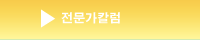전문가칼럼
